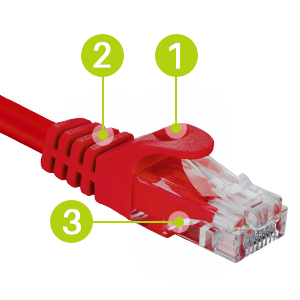 Dây mạng 0,3M Cat6 NewLink màu đỏ NL-1001FRD